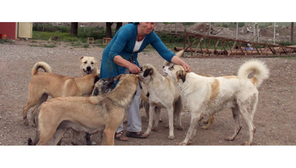 Köpekleri uğruna evsiz kaldı