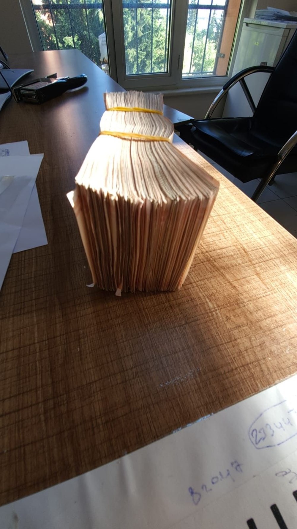 Cumhuriyet tarihinin en büyük operasyonu 'Bataklık'tan ilk görüntüler - 2