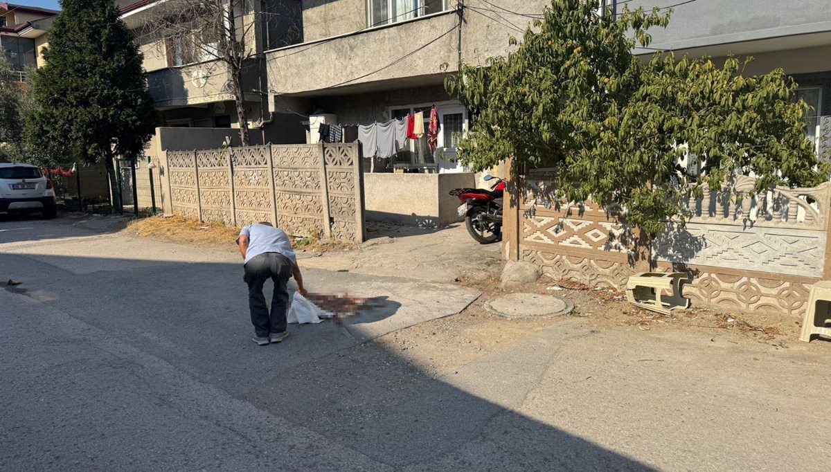 Tartıştığı babasını pompalı tüfekle vurdu