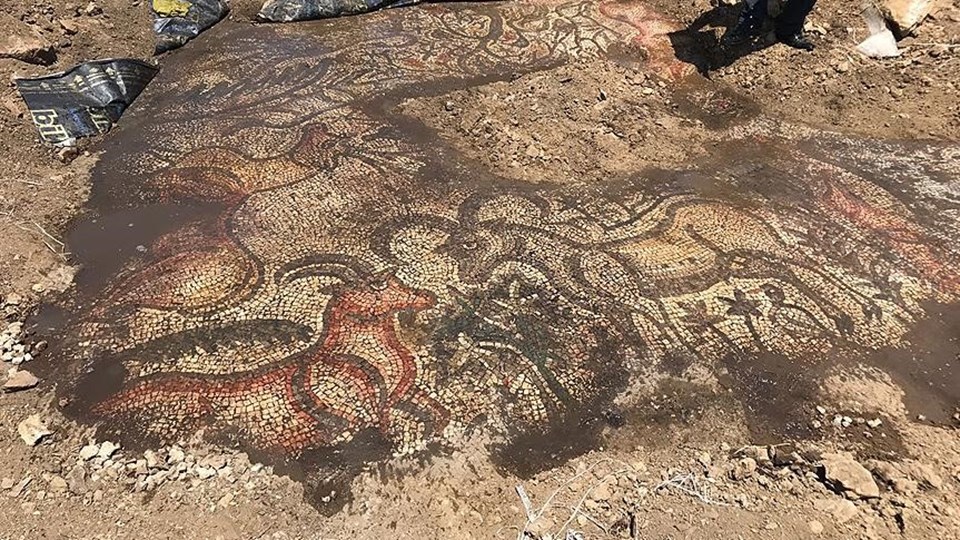 Adıyaman'da 1600 yıllık mozaik bulundu - 1