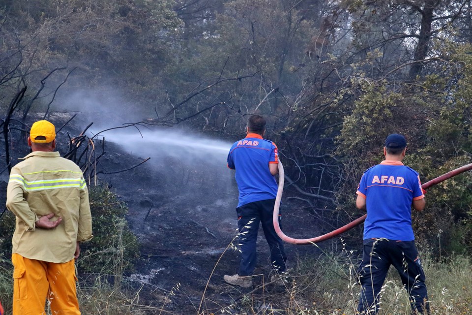 Adana'da orman yangını kontol altına alındı - 1