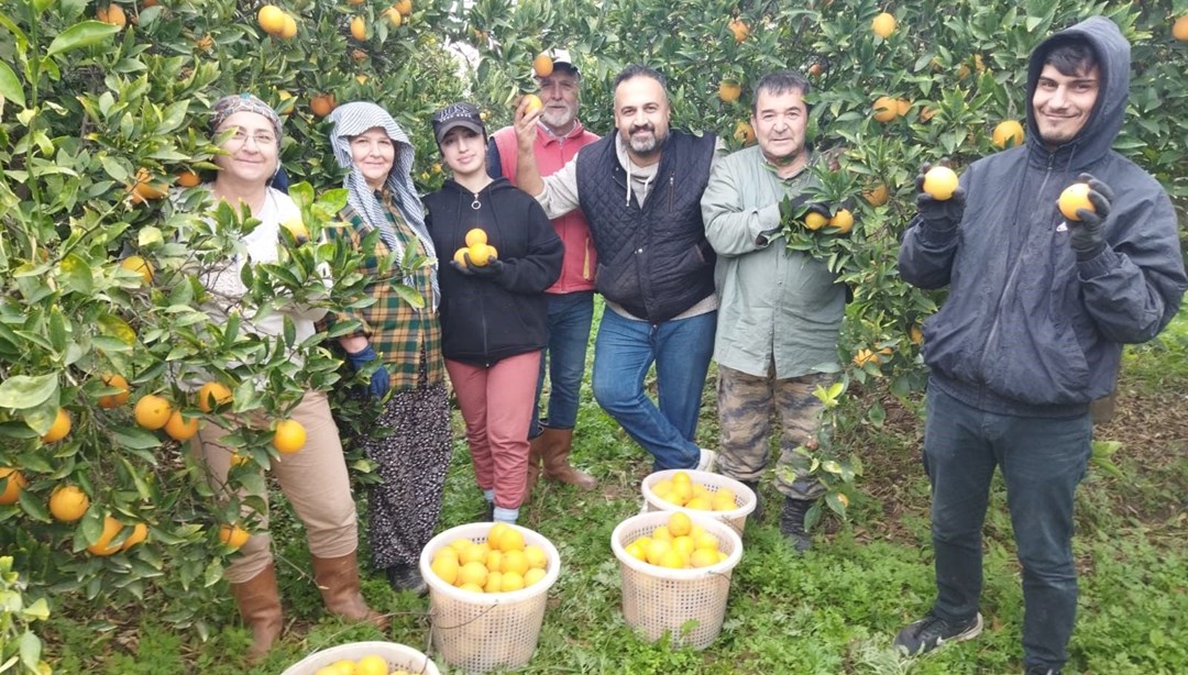Bu yıl umduklarını bulamadılar: "Bölgede üretim tamamen bitebilir"