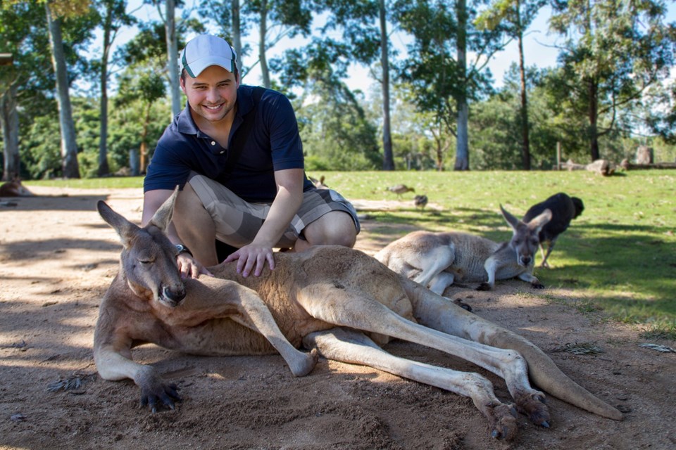 Avustralya'da bir adam evinde baktığı kanguru tarafından öldürüldü - 2