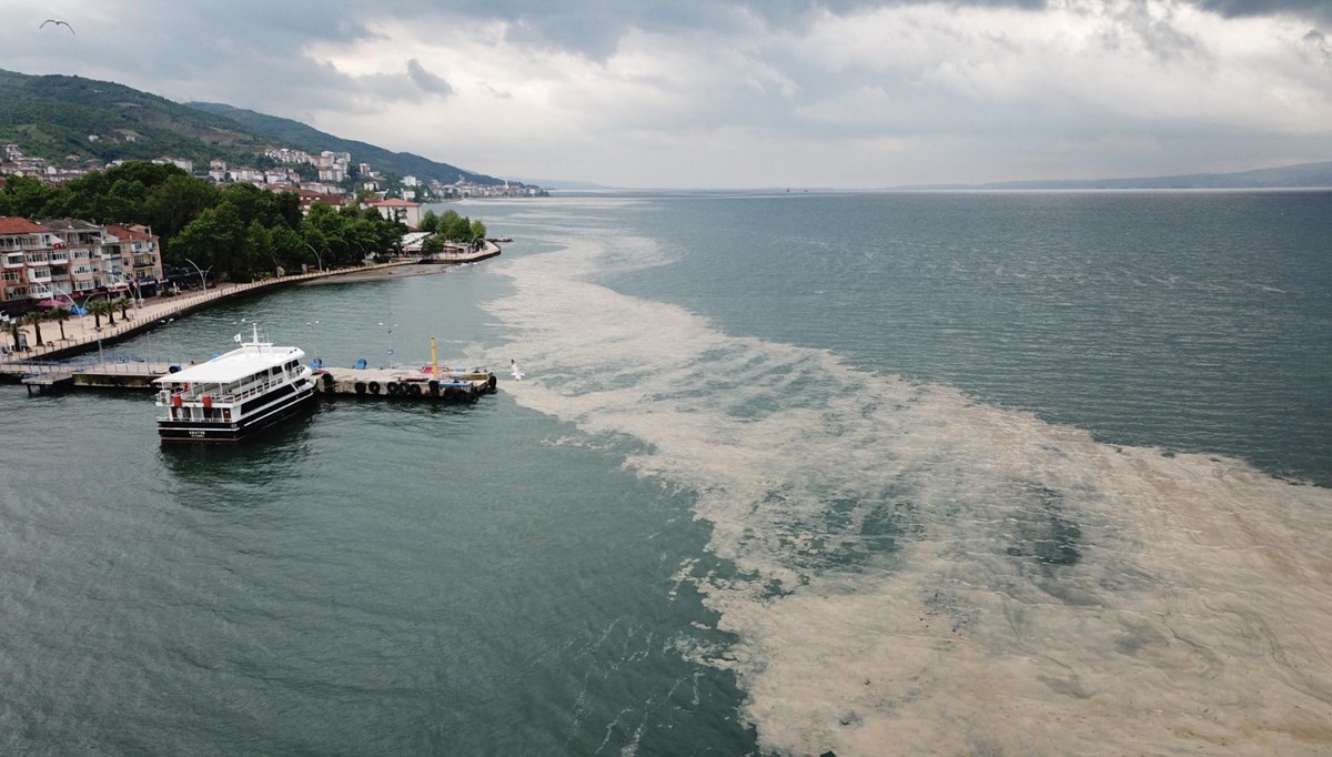 Deniz salyası İzmit Körfezi’ne geri döndü