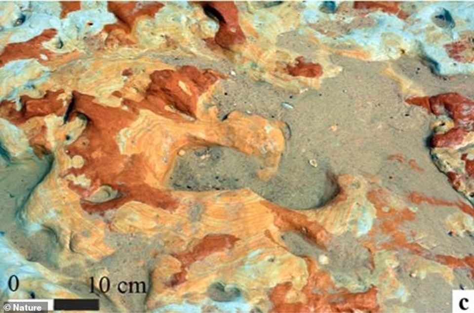 İspanya’da Neandertal bir çocuğa ait 100 bin yıllık ayak izleri keşfedildi - 1