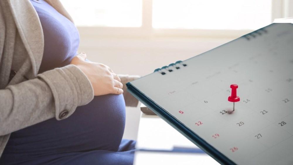 hvhu65asdUKdbVcut8g2Sw