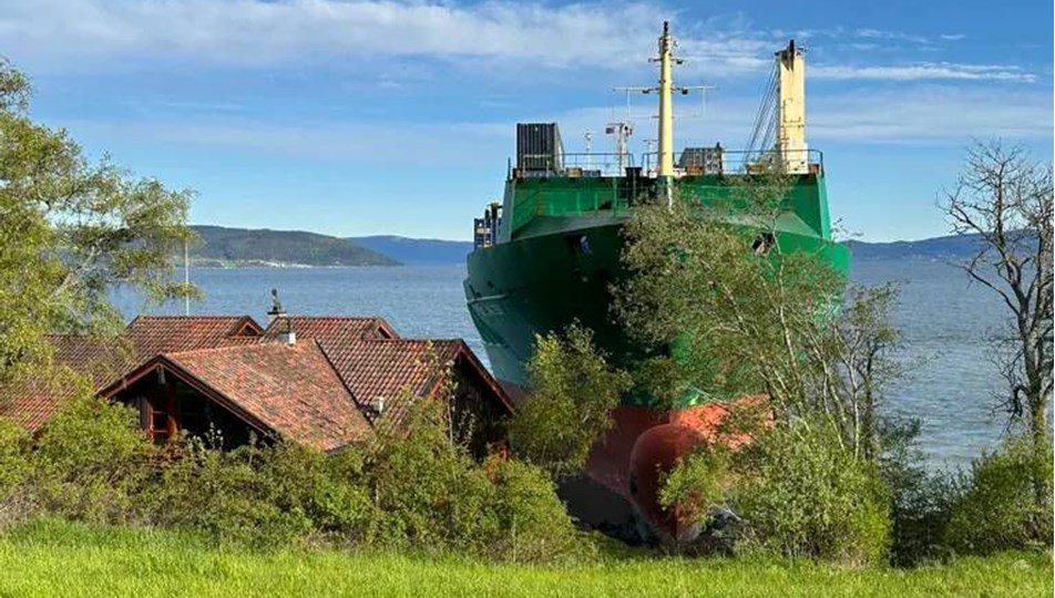 Gemi karaya çıktı, ev sahibi duymadı: Bahçedeki "misafir" şaşkınlık yarattı