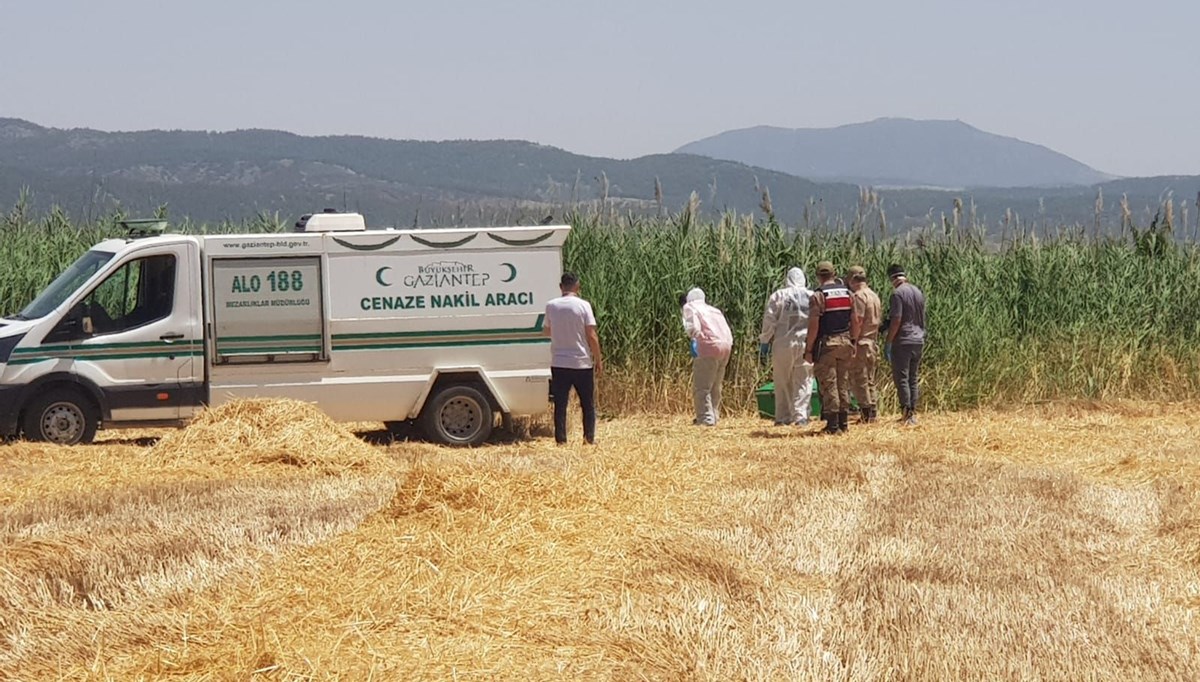 Gaziantep'te sazlık alanda ceset