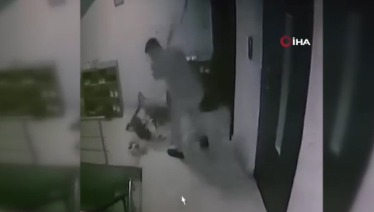 Apartmanda kediye sopalı saldırı: O anlar kamerada Apartmanda kediye sopalı saldırı: O anlar kamerada