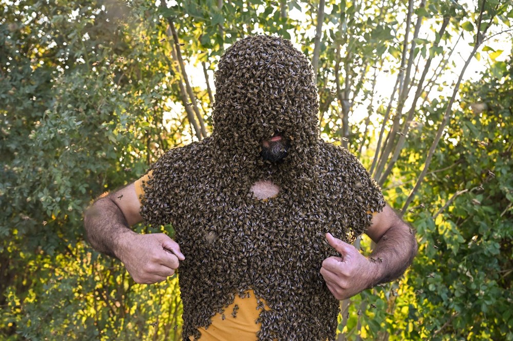 "Arı Adam"ın Guinness Rekorlar Kitabı hayaline ramak kaldı - 14