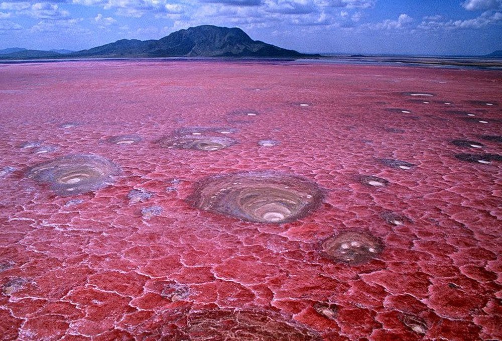 Dünyanın en ölümcül gölü Natron: Yaklaşan 'taş'a dönüyor - 3