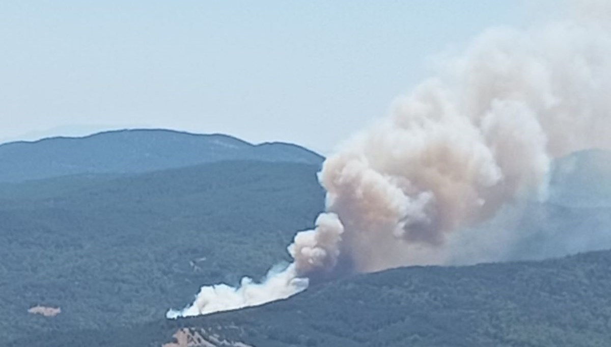 Bursa'da orman yangını