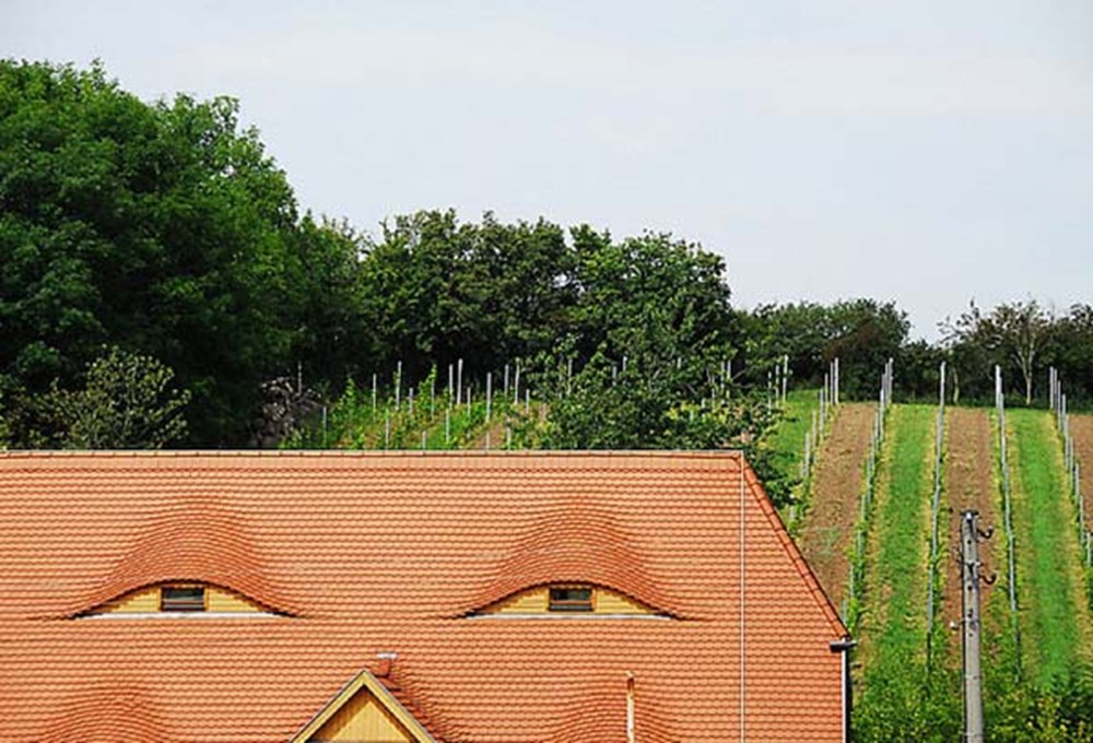 Дом с улыбкой. Дом с лицом. Крестьянские хоромы. Как называется лицо дома. Смешной дом.
