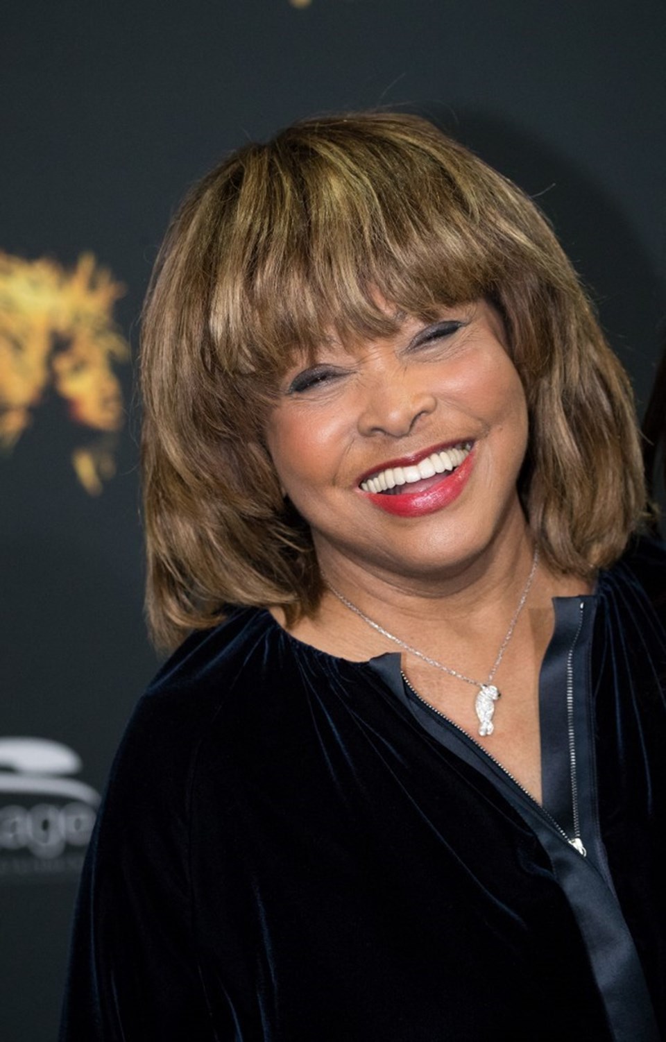 Tina Turner bütün şarkılarının haklarını BMG'ye sattı - 1