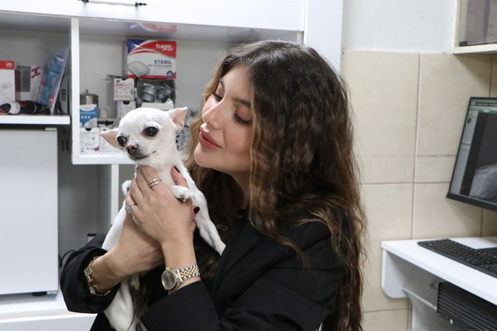 Mini'nin Horultu Serüveni: Uykusuz Gecelerin Neden Kaynağı? 75 i3I3UkIGhk6Az5uaHKF1yA