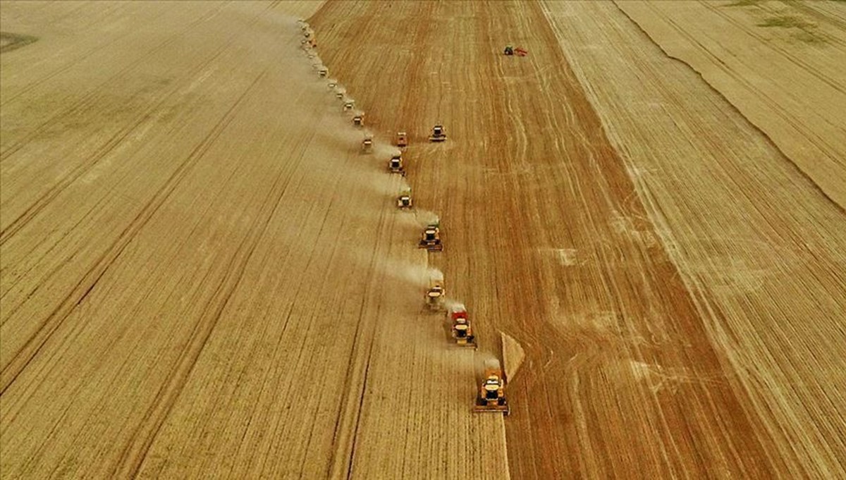 Tarım ve hayvancılıkta destek miktarları belli oldu