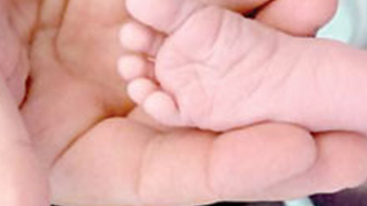 bir damla kan 6 bin bebegin hayatini kurtardi saglik haberleri ntv