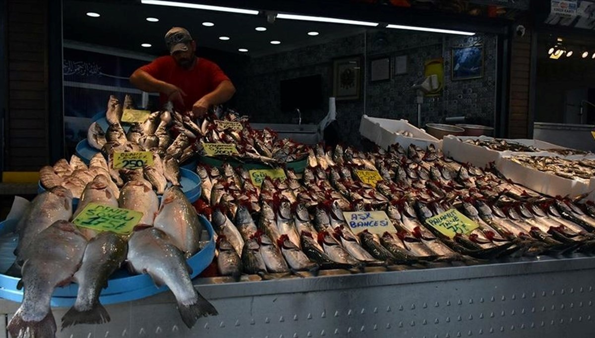 Ekim ayında hangi balıklar yenir? Balık fiyatlarında son durum (Palamut, hamsi, levrek, çipura, sardalya...) Ekim ayında hangi balıklar yenir? Balık fiyatlarında son durum (Palamut, hamsi, levrek, çipura, sardalya...)