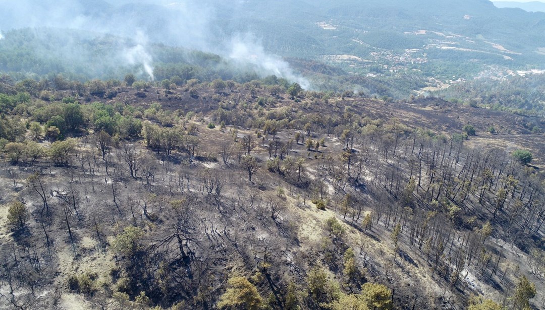 Orman yangınlarından etkilenen 441 kişiye psikososyal destek