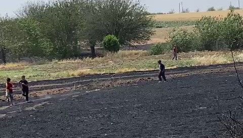 Adıyaman'da ekin yangını