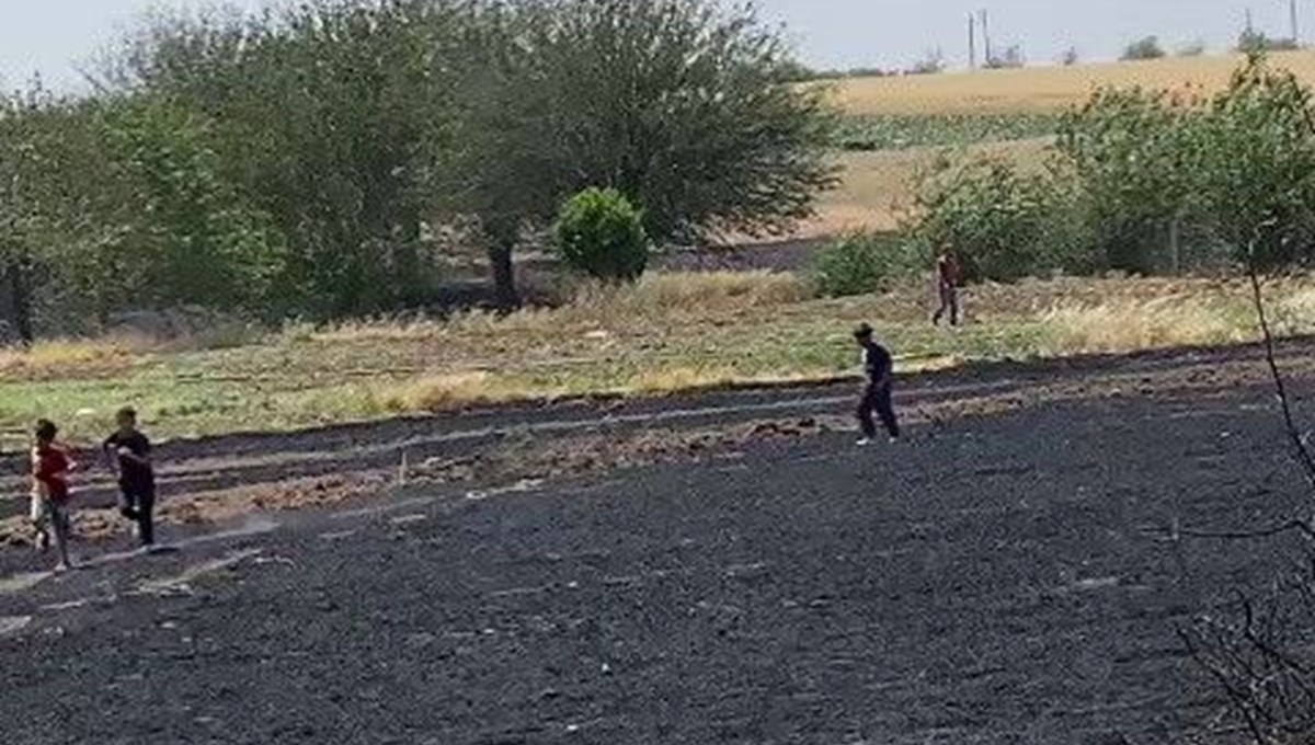 Adıyaman'da ekin yangını Adıyaman'da ekin yangını