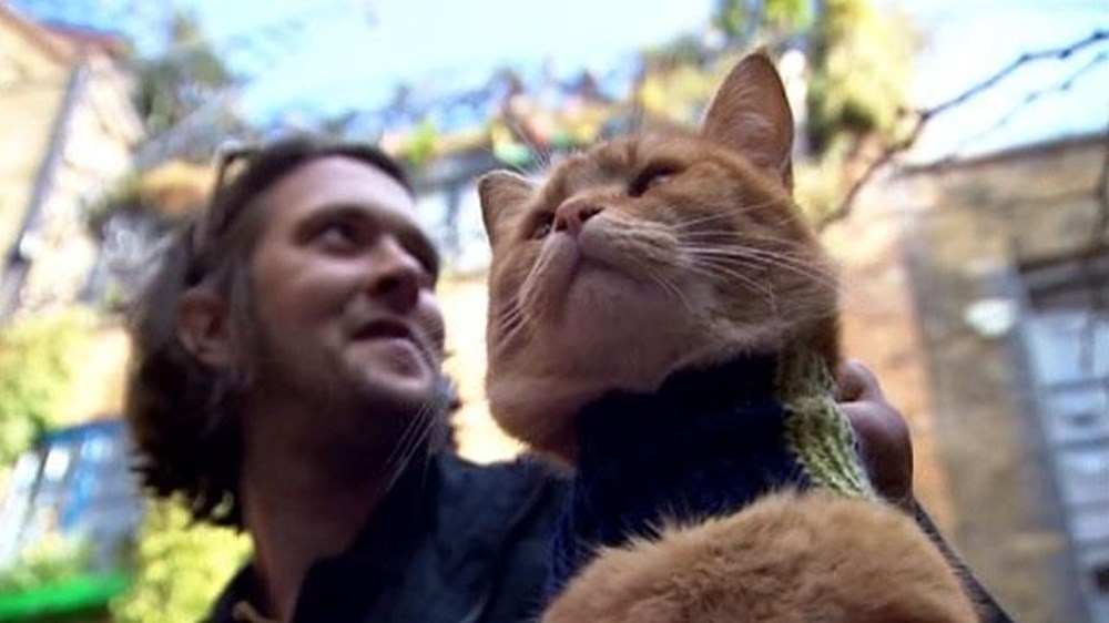 Bir evsizin hayatını değiştiren, kitaba ve filme konu olan kedi Bob