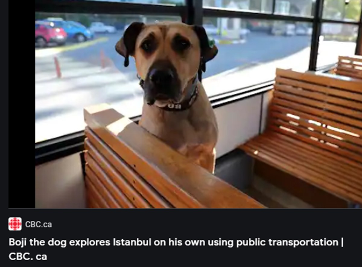 iBqFLDKbmEaDBAZyBUv3JA.jpg
