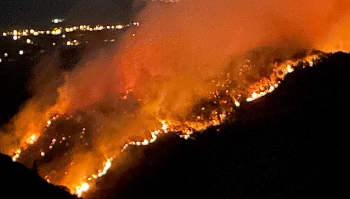 Muğla Ula'da orman yangını