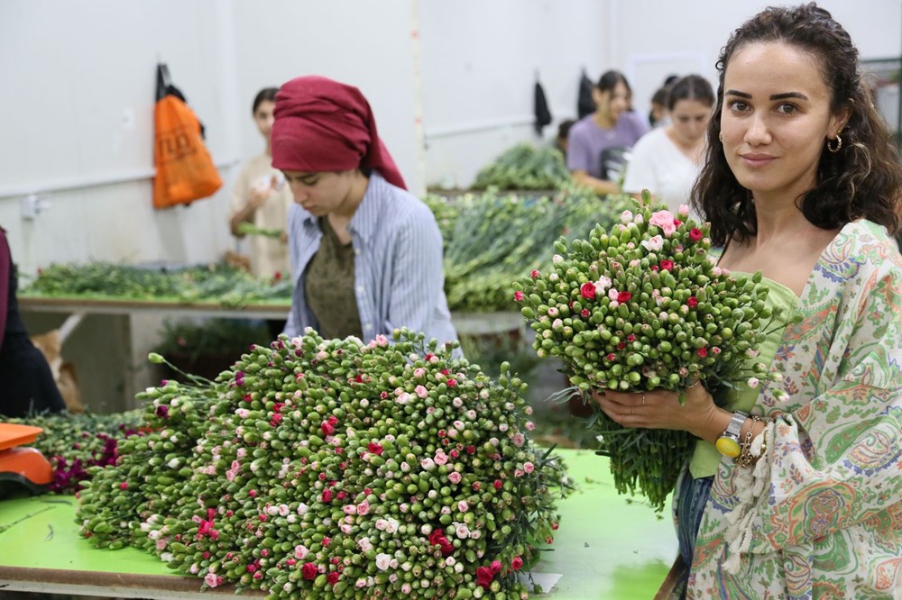 Kraliçe Elizabeth'in cenazesine Türkiye'den 1,5 milyon karanfil - 8