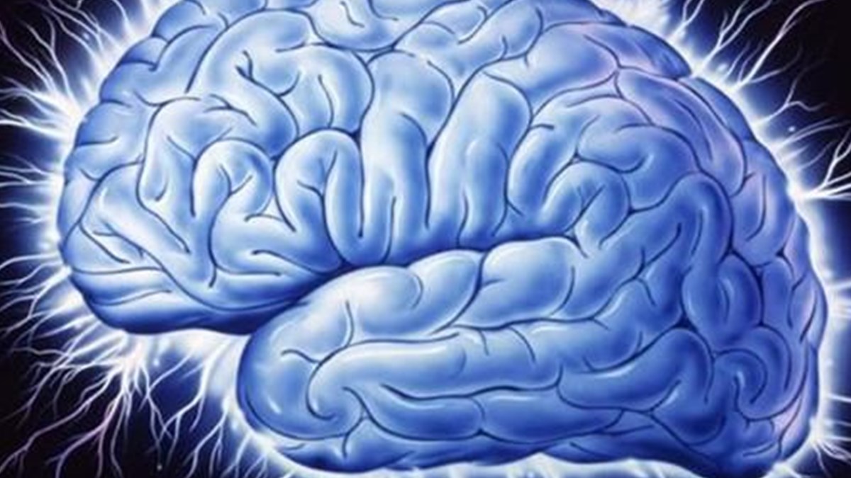 epilepsi nobeti ne zaman beyin hastaliginin isareti olur saglik haberleri ntv