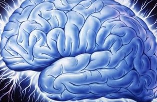 epilepsi ile ilgili dogru sanilan 10 yanlis nobet sirasinda bunlari yapmayin saglik haberleri ntv