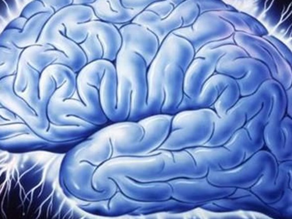 epilepsi nobeti ne zaman beyin hastaliginin isareti olur