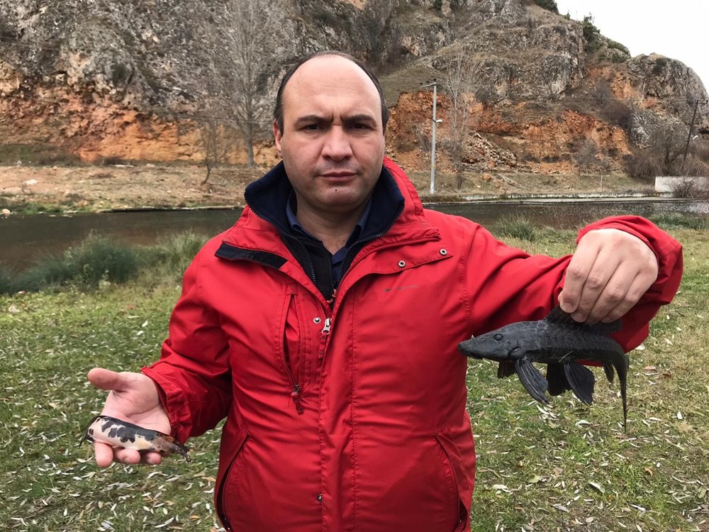 Suların kalitesini yok eden istilacı balıklar Eskişehir’de görüldü - 2