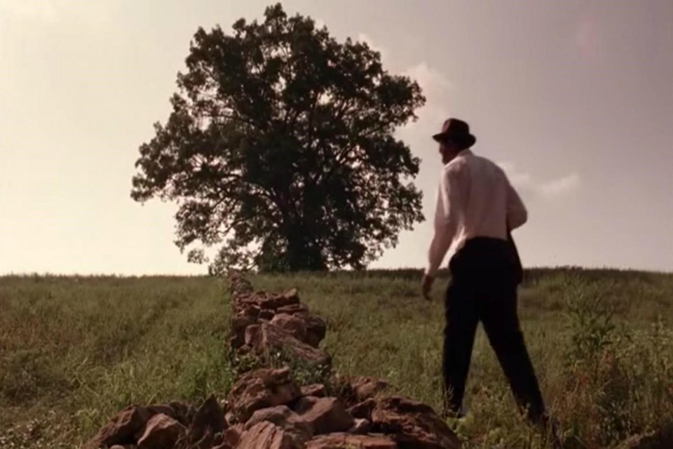The Shawshank Redemption'daki ağaca veda - 2