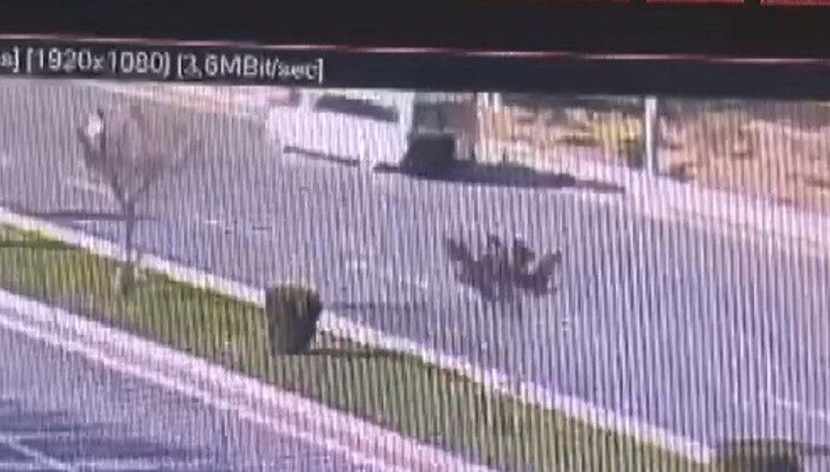 İndikleri minibüsün altında kaldılar İndikleri minibüsün altında kaldılar