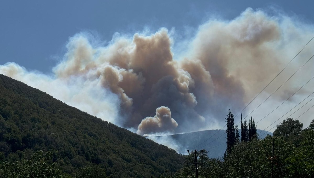  Kocaeli, Bursa ve Bartın'da alevlere müdahale ediliyor