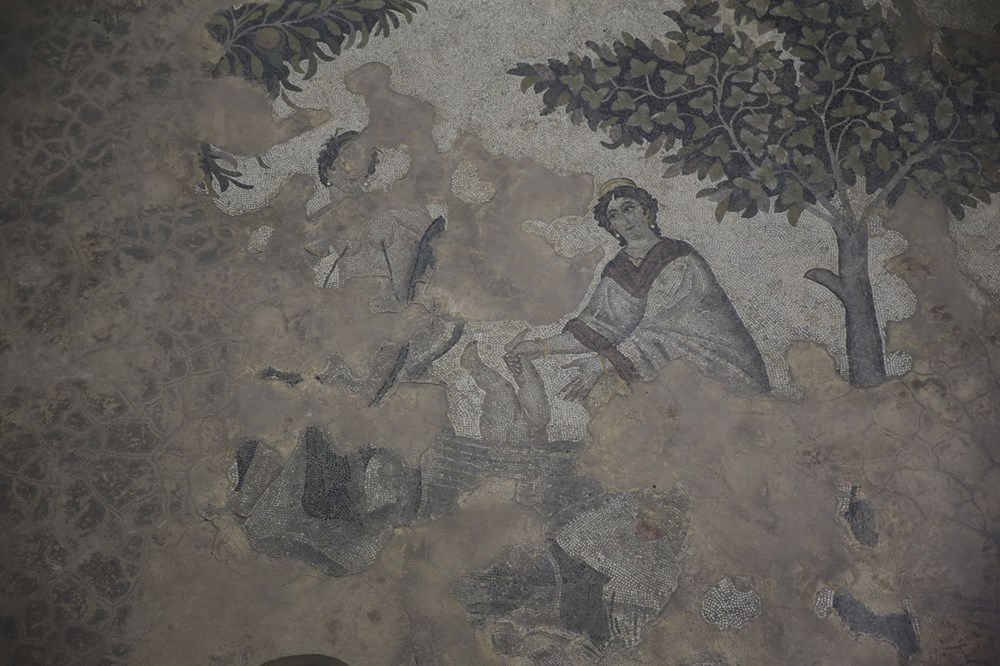 Aşil'in hayatı ve savaşçı Amazon kadınlarının mozaikleri Şanlıurfa'da - 2