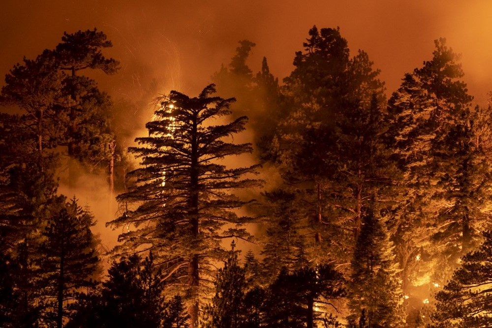 ABD'deki orman yangınlarında ölü sayısı 33'e çıktı - 12