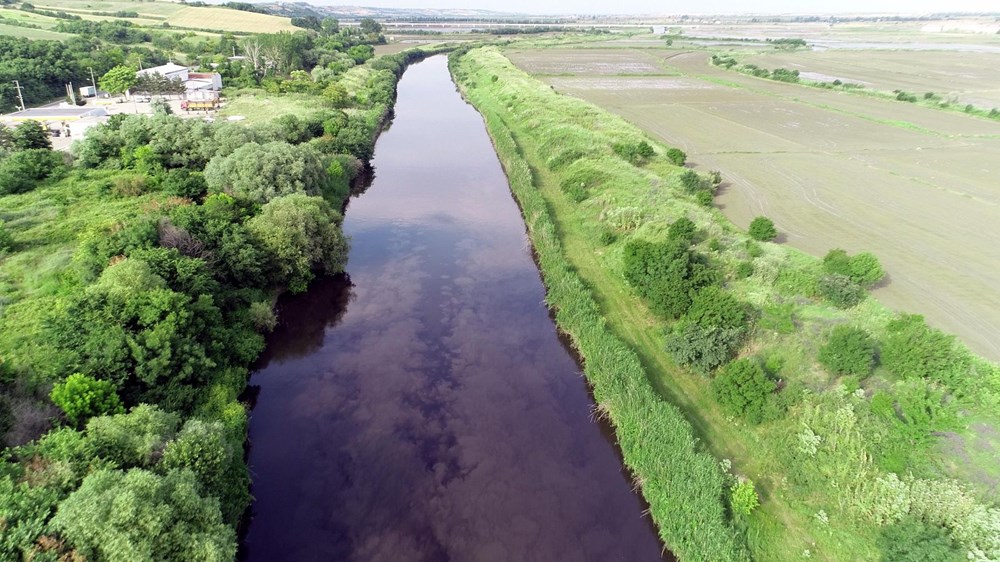 Ergene Nehri, Trakya'da zehir saçıyor - 5