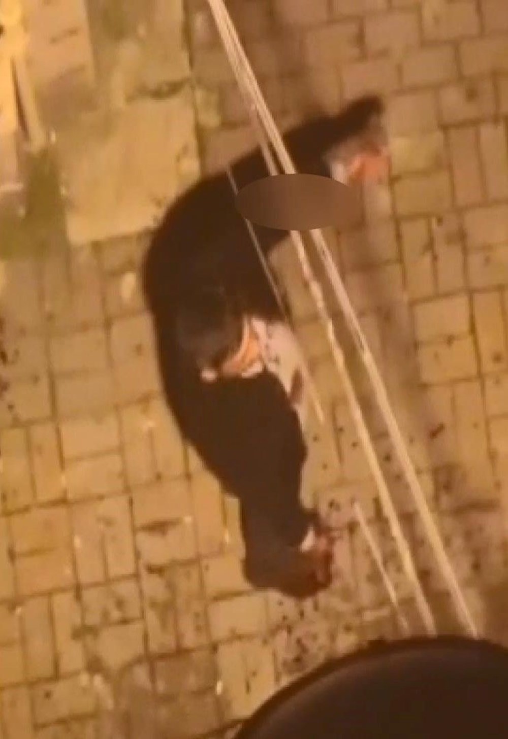 Aldatıldığını düşündü, silahla ateş açtı: Sokağındayım, in aşağı 76 iNF kp34KUipTlxDP6FA g