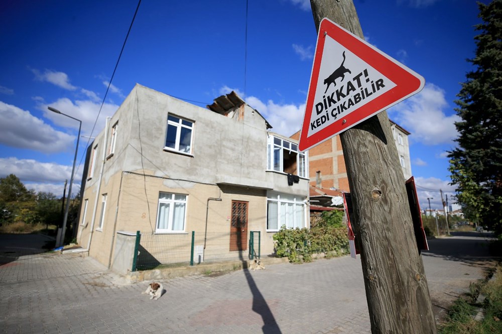 Kırklareli'nde sürücüler 'kedi-köpek çıkabilir' tabelalarıyla uyarılıyor - 7