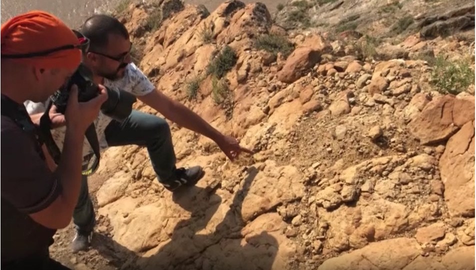 Iğdır'da şimdi de midye fosiline rastlandı