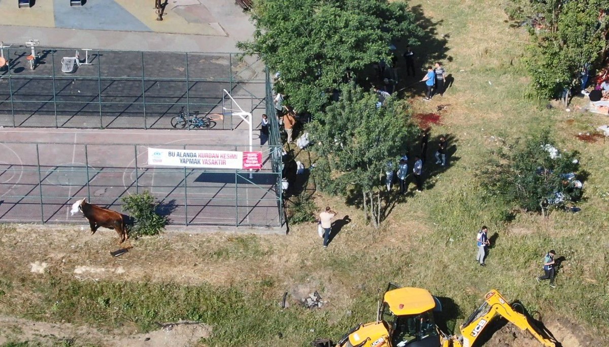 İstanbul’da yasak tabelasının altında kaçak kurban kestiler İstanbul’da yasak tabelasının altında kaçak kurban kestiler