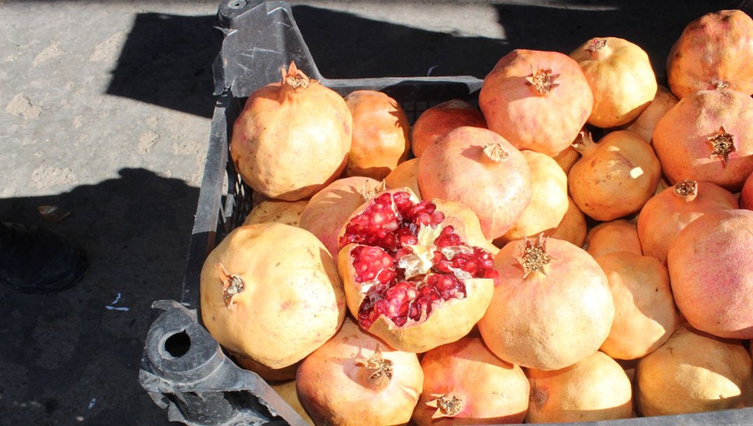 "Zivzik" narı tezgahta yerini aldı: Kilosu 30 lira; İçinde gübre, ilaç yok