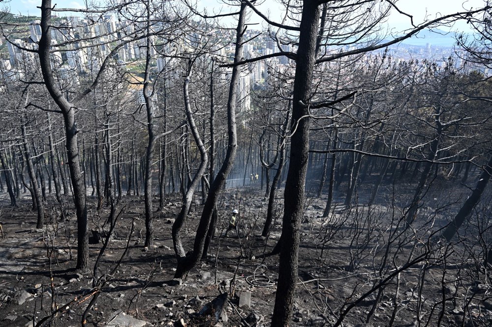 İstanbul Maltepe'de orman yangını - 8