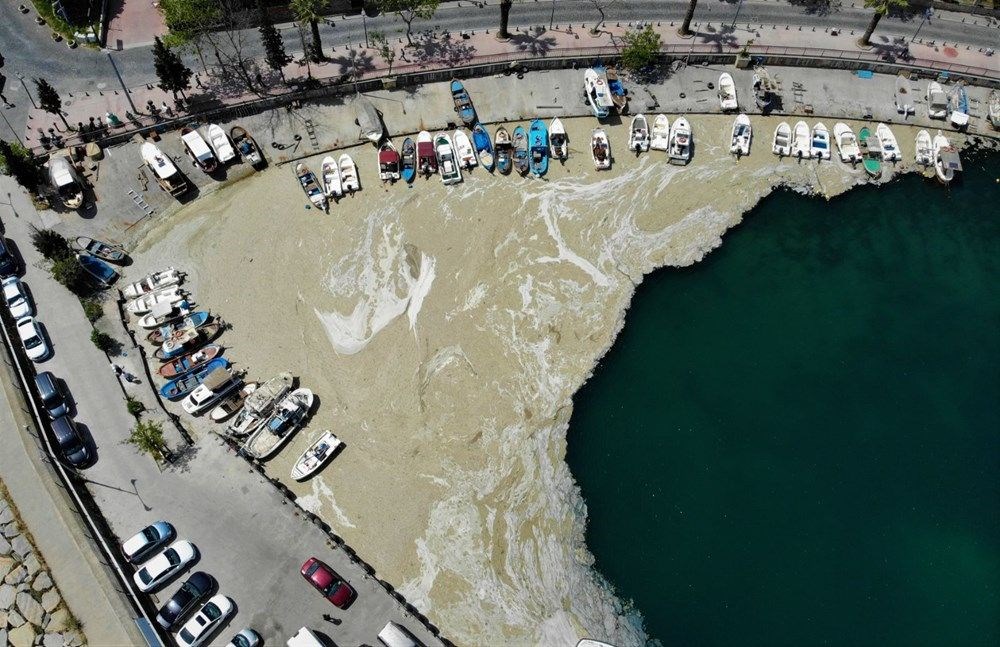 Deniz salyası (müsilaj) nedir, neden oluşur? İşte müsilajın nedenleri - 1