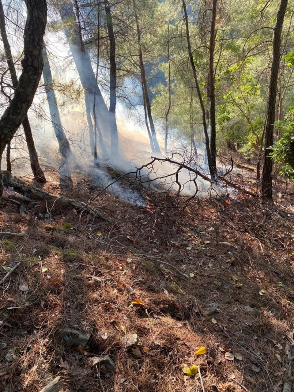 Kazdağları'nda orman yangını: 1 hektarlık alan zarar gördü - 1