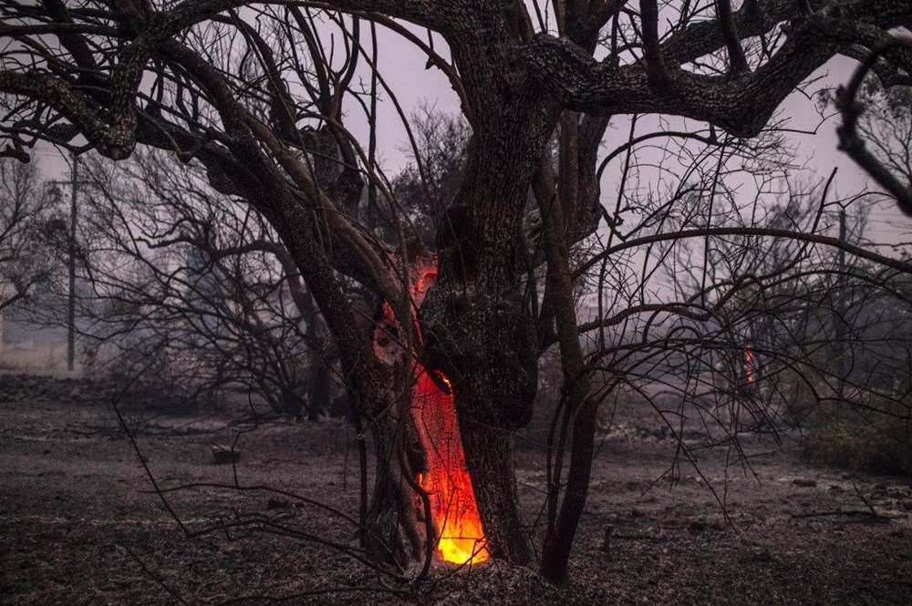 Yunanistan'da orman yangınlarıyla mücadele: Evia adasında onlarca ev ve iş yeri kül oldu - 19