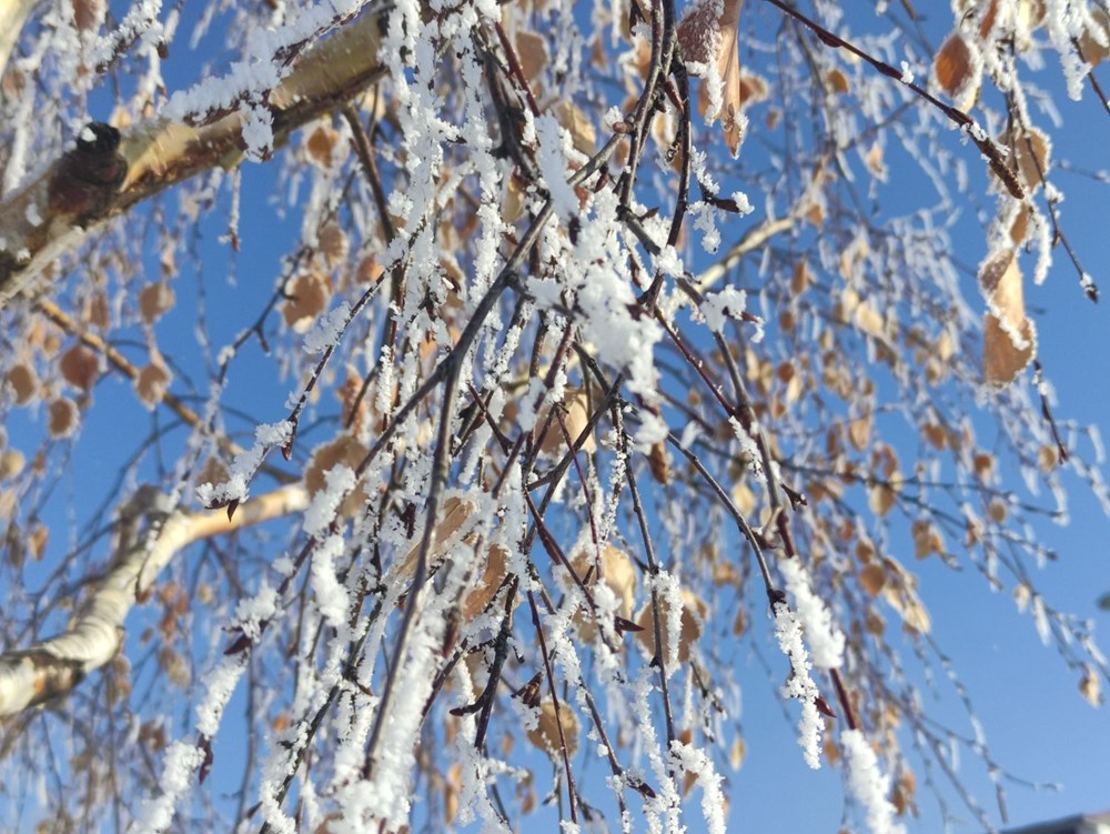 En soğuk geceyi yaşadılar: Bir ilçe eksi 32,3 dereceyi gördü - 2