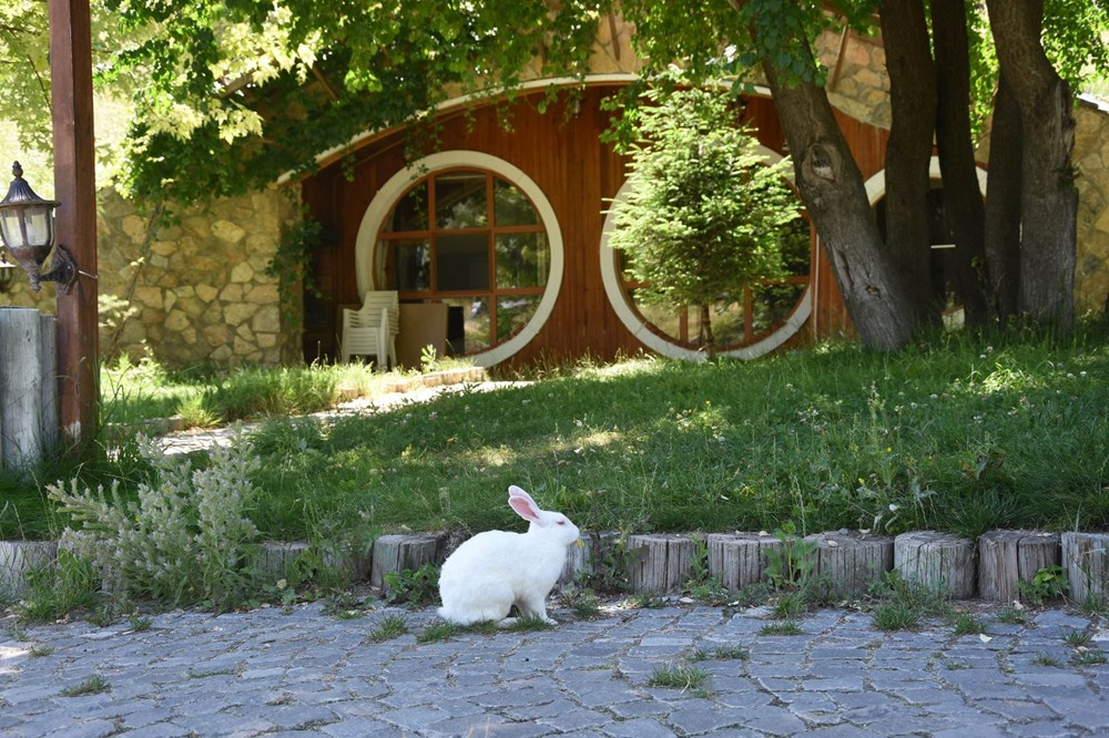 ABD'den Sivas'a Hobbit uyarısı - 4